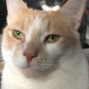 Meet your Posher, Ricky